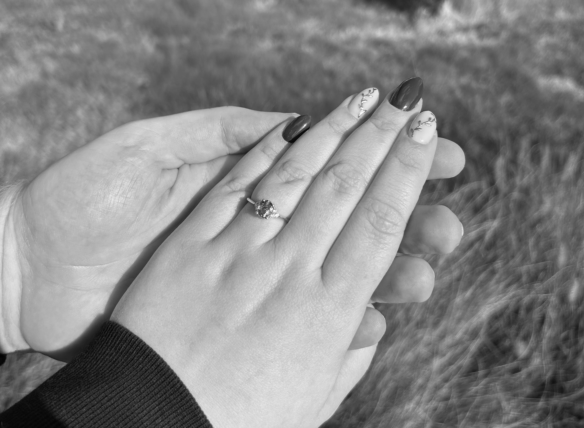 Alana\'s hand die in Simon\'s hand rust en de verlovingsring die schitterd in de zon